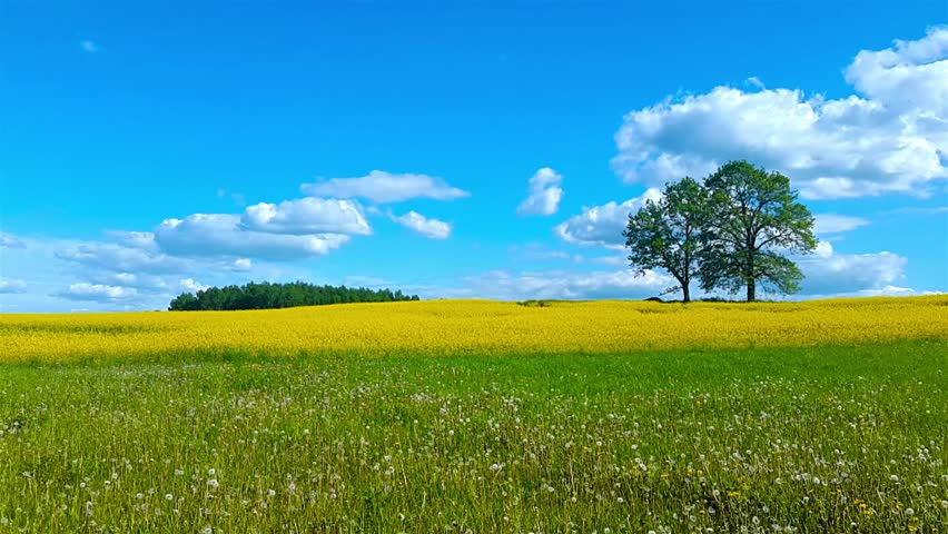 خبر تازه ساسکاچوان